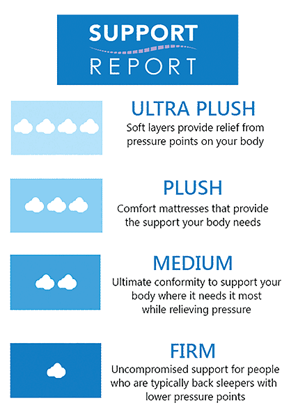 Support Report graph showing support and comfort relationship